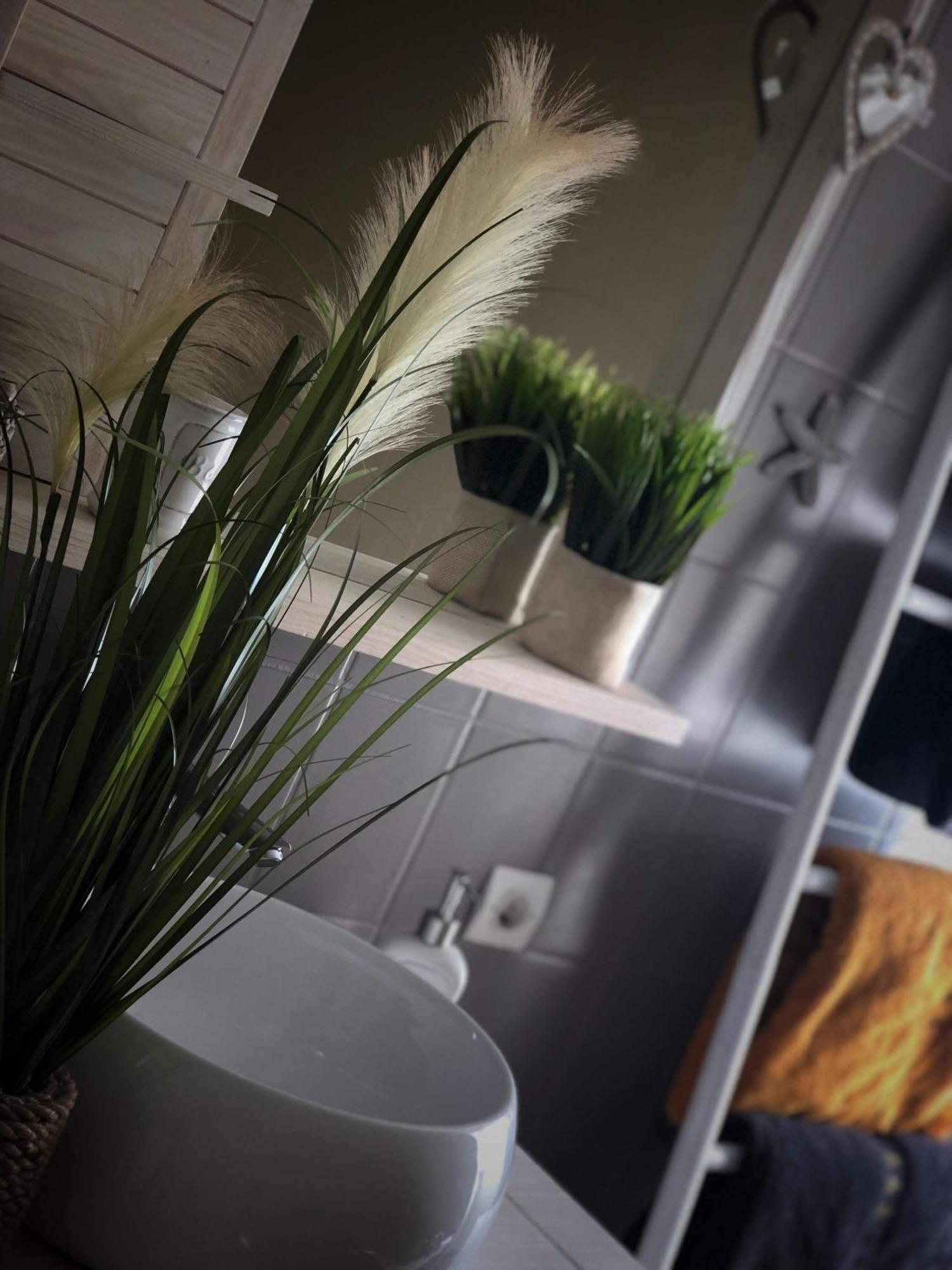 Ferienwohnung Sous Les Toits Du Zinc - Climatise Colmar Exterior foto